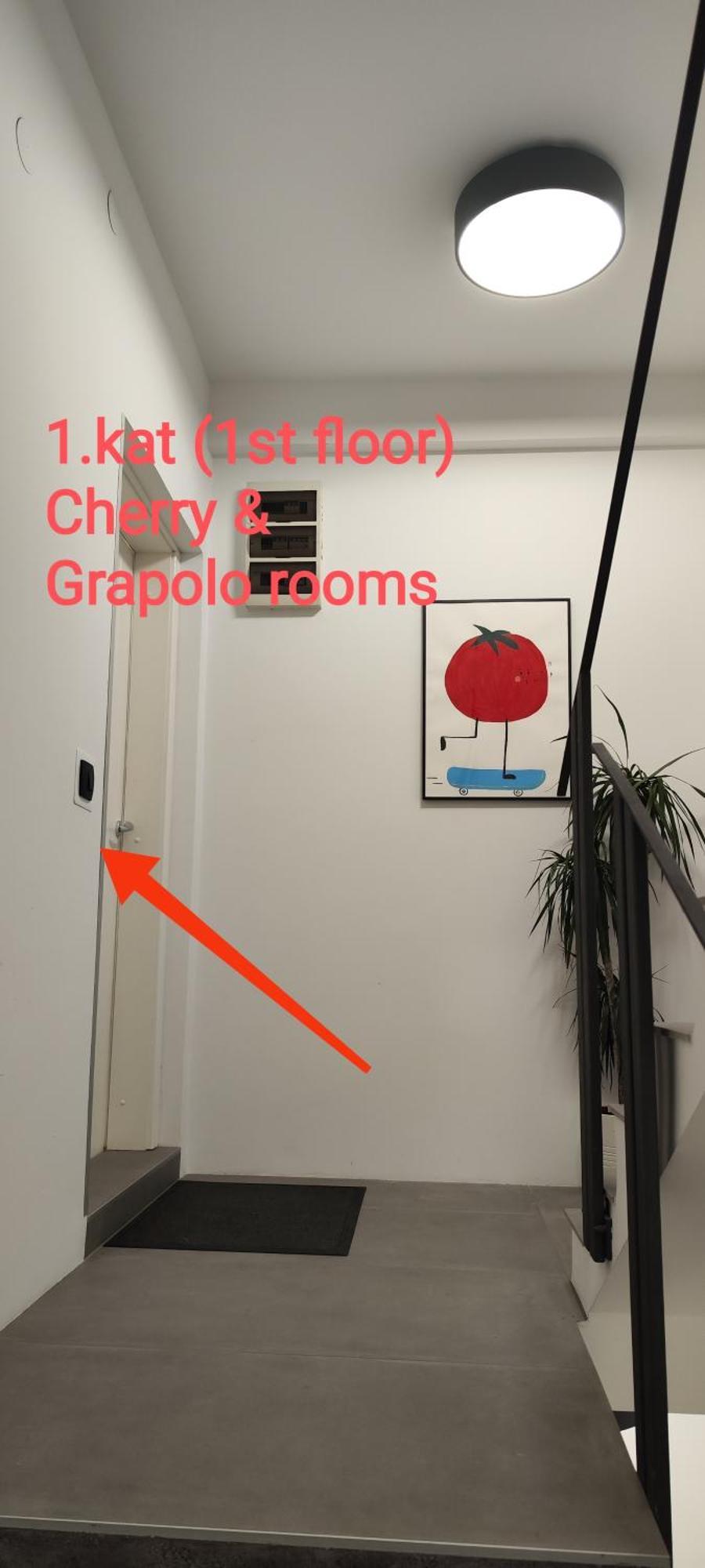 Pomodoro Rooms Zagrzeb Zewnętrze zdjęcie
